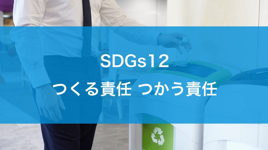 SDGs12とは