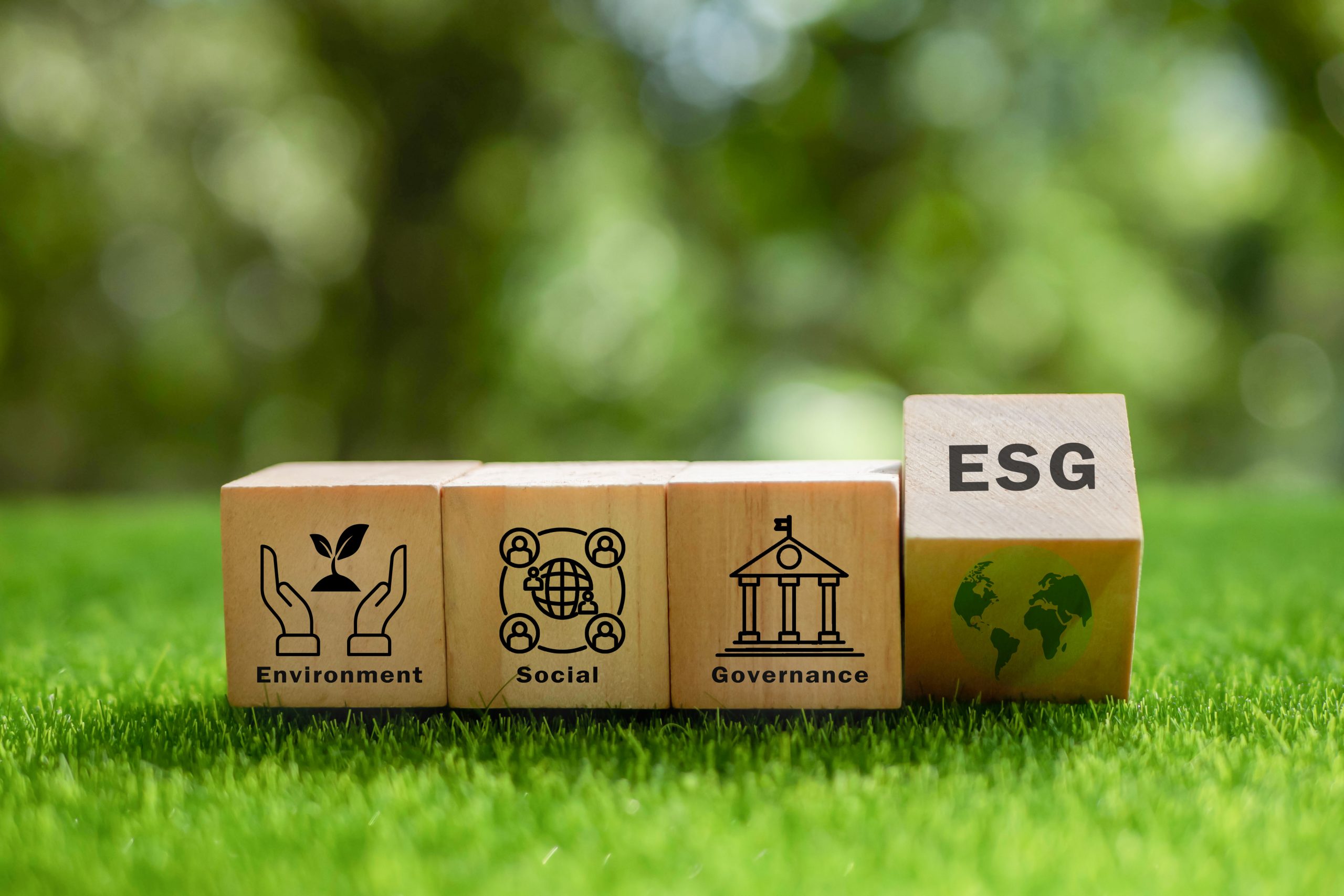 ESGの取り組み事例